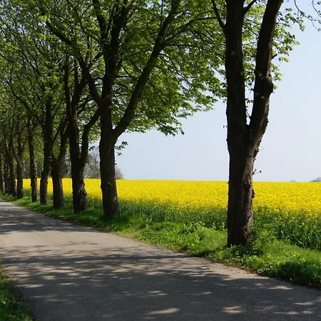 Dom wakacyjny Mit Kamin, Eingezaeuntem Garten Und Gutshofsauna! Rabenholz
